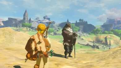 Legend of Zelda Breath of the Wild Old Man emplacements pour le doublet chaud et le parapente