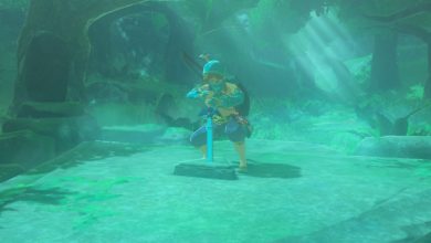 The Legend of Zelda: Breath of the Wild armes incassables et emplacements Trident à haute durabilité