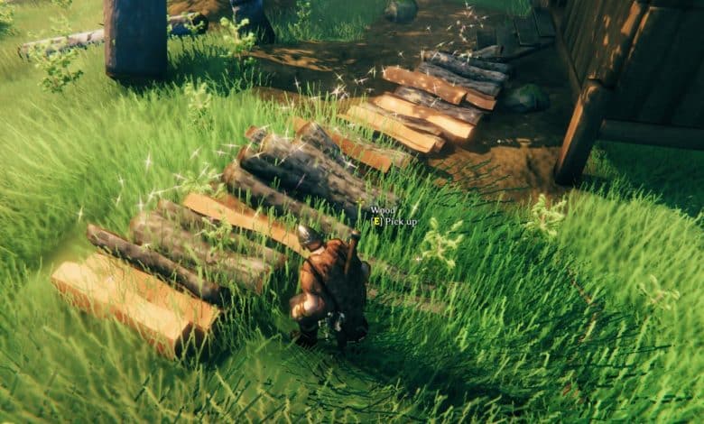 Astuces Valheim, commandes de console et liste d’éléments de spawn