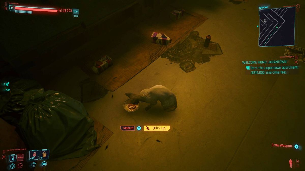 Comment obtenir Nibbles le chat dans Cyberpunk 2077