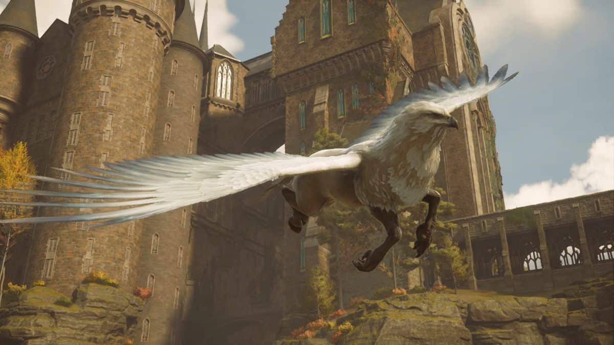 Y a-t-il des animaux de compagnie Hogwarts Legacy que vous pouvez attraper et jouer avec?