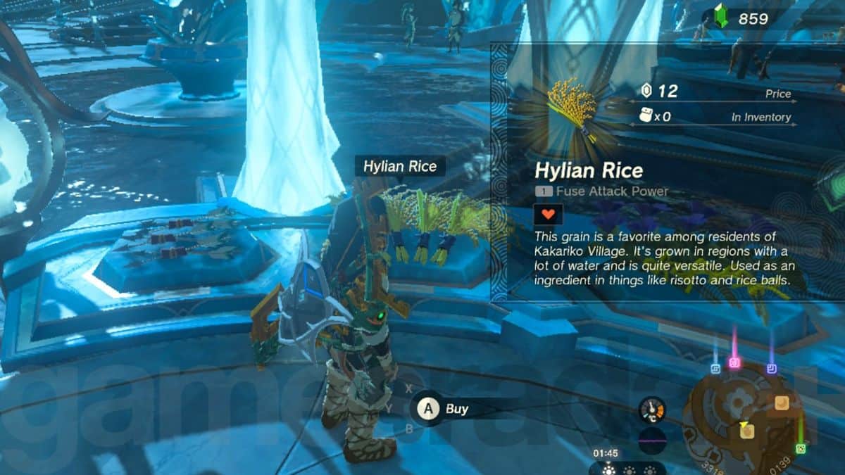 Où trouver du riz Hylian dans Zelda Tears of the Kingdom et préparer des repas copieux