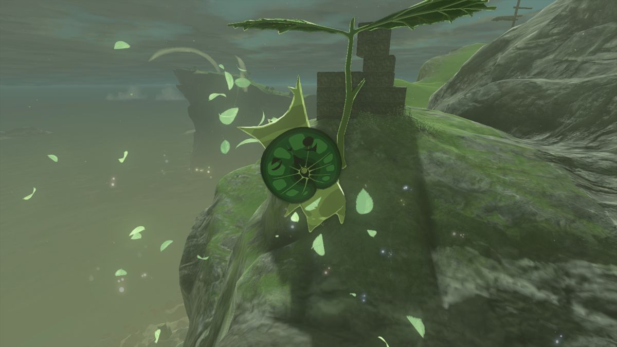 Comment trouver des graines de Korok dans Zelda Tears of the Kingdom