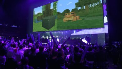 Minecraft ajoutera de la boue, des grenouilles et bien plus encore en 2022